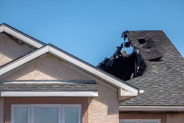 Top rated local Fire Damage Removal specialists in Lakeland, MN